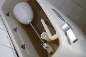 Plumbers Available Today for Toilet Leak Repair in Burbank, CA